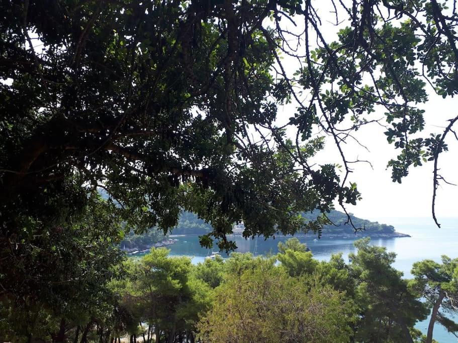 Apartment Kristic - Saplunara, Mljet Babino Polje Екстер'єр фото