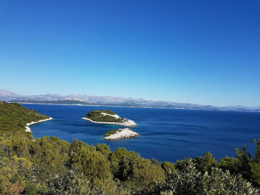 Apartment Kristic - Saplunara, Mljet Babino Polje Екстер'єр фото