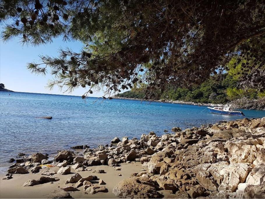 Apartment Kristic - Saplunara, Mljet Babino Polje Екстер'єр фото