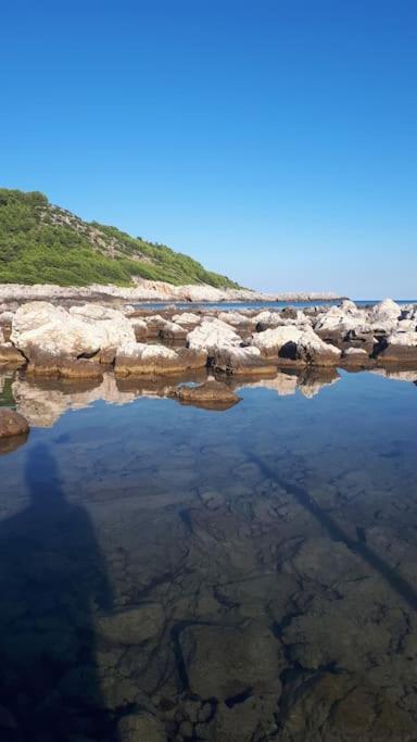 Apartment Kristic - Saplunara, Mljet Babino Polje Екстер'єр фото
